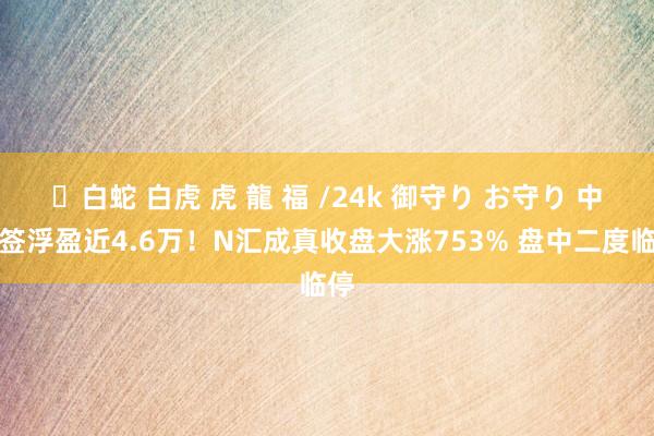 ✨白蛇 白虎 虎 龍 福 /24k 御守り お守り 中一签浮盈近4.6万！N汇成真收盘大涨753% 盘中二度临停