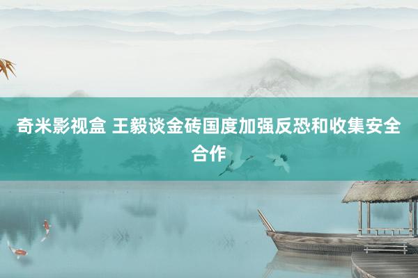 奇米影视盒 王毅谈金砖国度加强反恐和收集安全合作