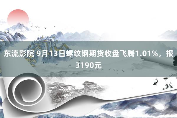 东流影院 9月13日螺纹钢期货收盘飞腾1.01%，报3190元