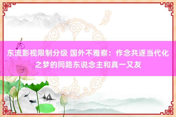 东流影视限制分级 国外不雅察：作念共逐当代化之梦的同路东说念主和真一又友