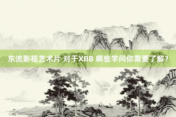 东流影视艺术片 对于XBB 哪些学问你需要了解？