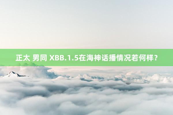 正太 男同 XBB.1.5在海神话播情况若何样？