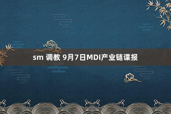 sm 调教 9月7日MDI产业链谍报