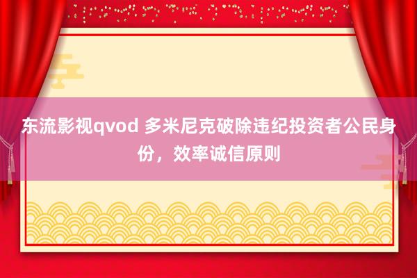 东流影视qvod 多米尼克破除违纪投资者公民身份，效率诚信原则