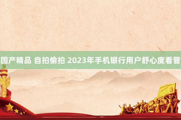 国产精品 自拍偷拍 2023年手机银行用户舒心度看管