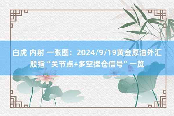 白虎 内射 一张图：2024/9/19黄金原油外汇股指“关节点+多空捏仓信号”一览