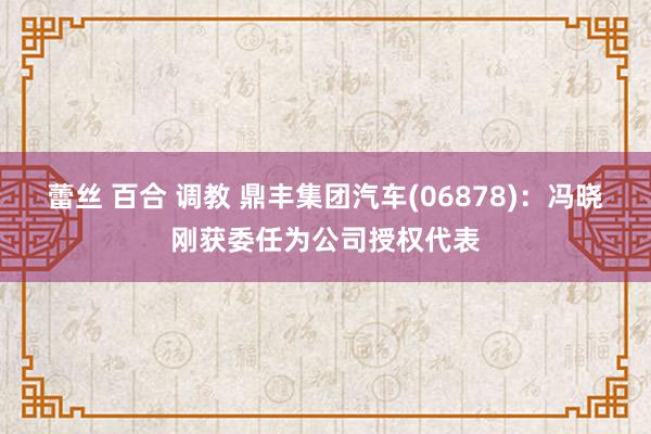 蕾丝 百合 调教 鼎丰集团汽车(06878)：冯晓刚获委任为公司授权代表