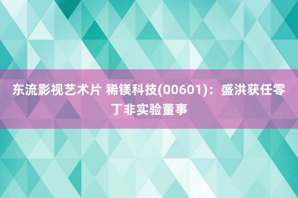 东流影视艺术片 稀镁科技(00601)：盛洪获任零丁非实验董事