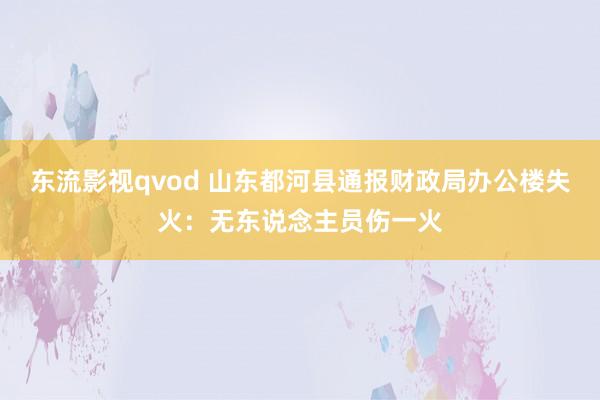 东流影视qvod 山东都河县通报财政局办公楼失火：无东说念主员伤一火