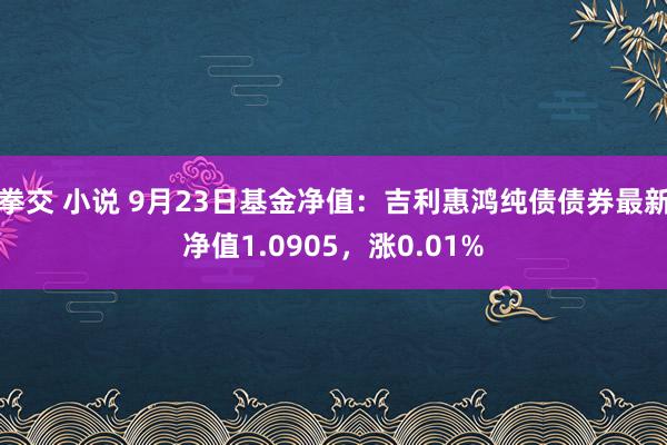 拳交 小说 9月23日基金净值：吉利惠鸿纯债债券最新净值1.0905，涨0.01%