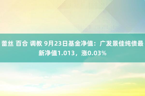 蕾丝 百合 调教 9月23日基金净值：广发景佳纯债最新净值1.013，涨0.03%