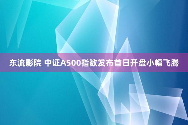 东流影院 中证A500指数发布首日开盘小幅飞腾