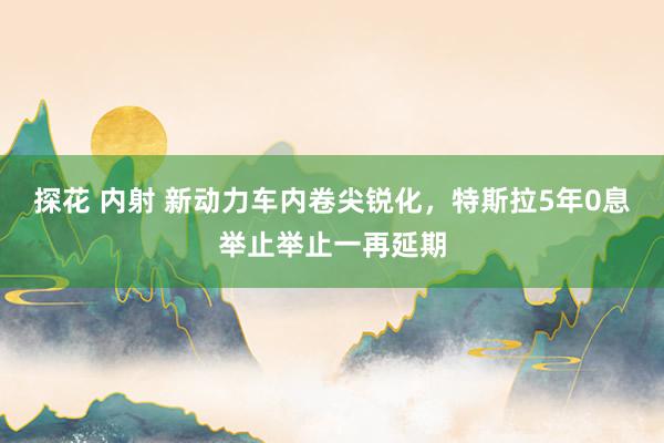 探花 内射 新动力车内卷尖锐化，特斯拉5年0息举止举止一再延期