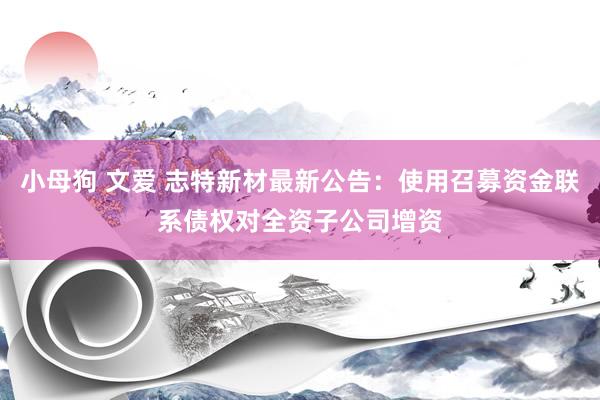 小母狗 文爱 志特新材最新公告：使用召募资金联系债权对全资子公司增资