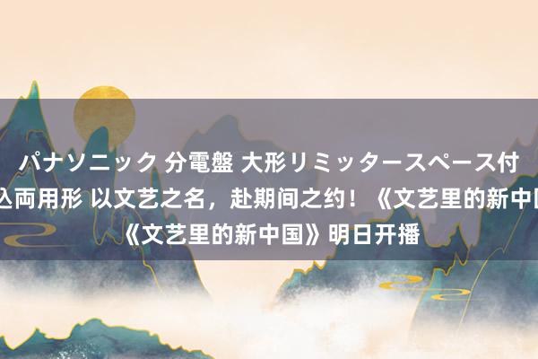 パナソニック 分電盤 大形リミッタースペース付 露出・半埋込両用形 以文艺之名，赴期间之约！《文艺里的新中国》明日开播