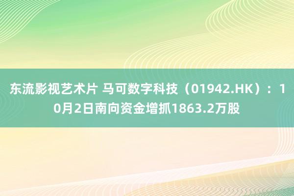 东流影视艺术片 马可数字科技（01942.HK）：10月2日南向资金增抓1863.2万股