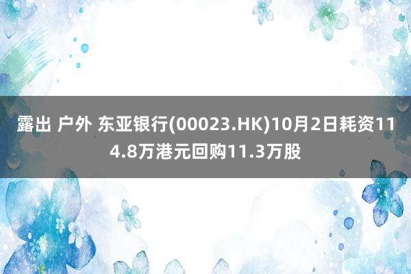 露出 户外 东亚银行(00023.HK)10月2日耗资114.8万港元回购11.3万股