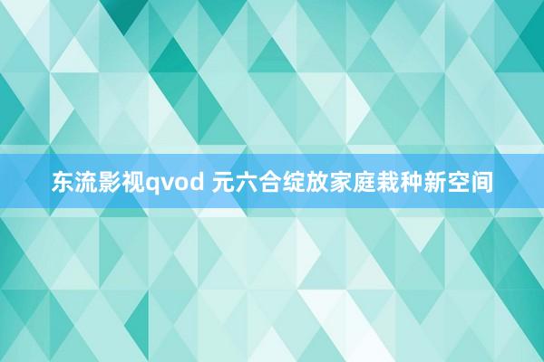 东流影视qvod 元六合绽放家庭栽种新空间