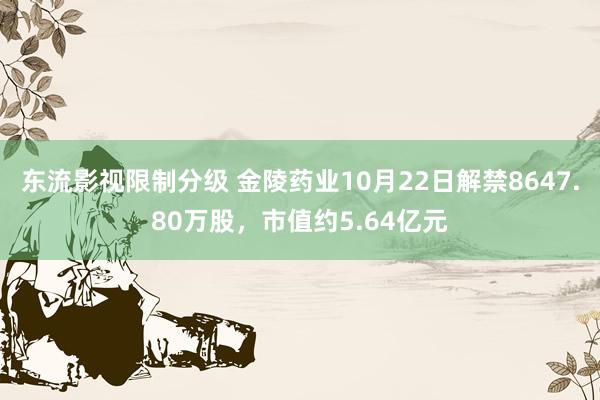 东流影视限制分级 金陵药业10月22日解禁8647.80万股，市值约5.64亿元