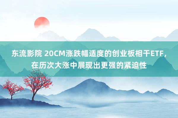 东流影院 20CM涨跌幅适度的创业板相干ETF，在历次大涨中展现出更强的紧迫性