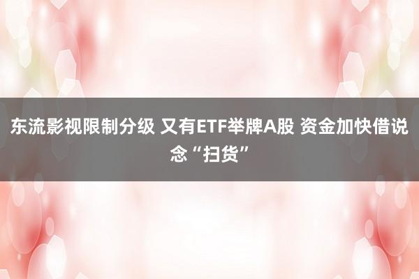 东流影视限制分级 又有ETF举牌A股 资金加快借说念“扫货”