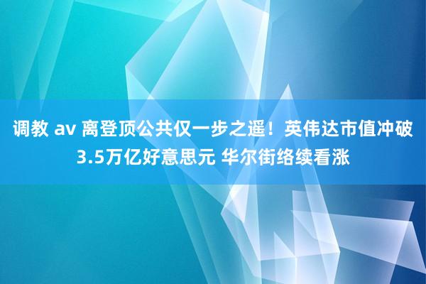 调教 av 离登顶公共仅一步之遥！英伟达市值冲破3.5万亿好意思元 华尔街络续看涨