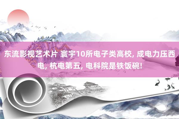 东流影视艺术片 寰宇10所电子类高校， 成电力压西电， 杭电第五， 电科院是铁饭碗!