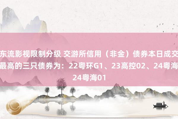 东流影视限制分级 交游所信用（非金）债券本日成交额最高的三只债券为：22粤环G1、23高控02、24粤海01