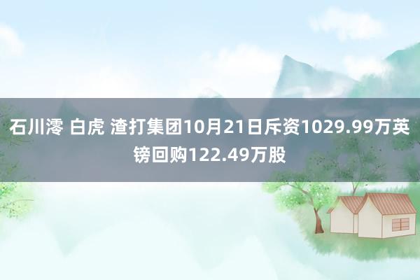 石川澪 白虎 渣打集团10月21日斥资1029.99万英镑回购122.49万股