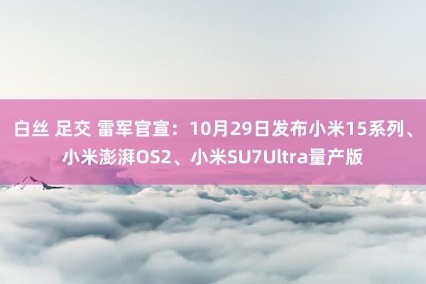 白丝 足交 雷军官宣：10月29日发布小米15系列、小米澎湃OS2、小米SU7Ultra量产版