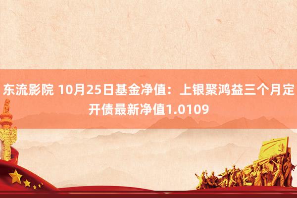 东流影院 10月25日基金净值：上银聚鸿益三个月定开债最新净值1.0109