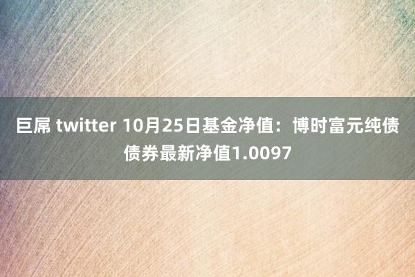 巨屌 twitter 10月25日基金净值：博时富元纯债债券最新净值1.0097