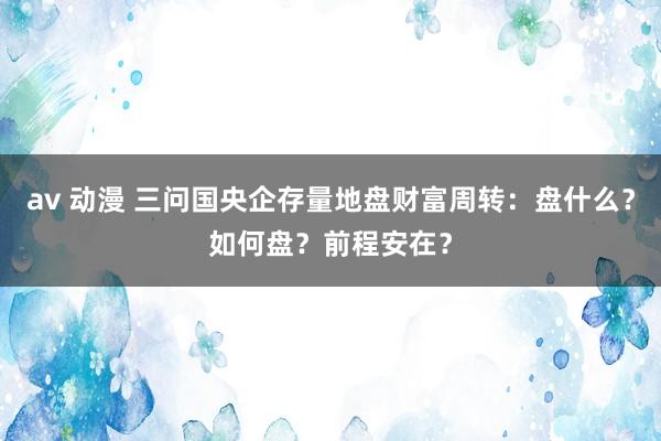 av 动漫 三问国央企存量地盘财富周转：盘什么？如何盘？前程安在？