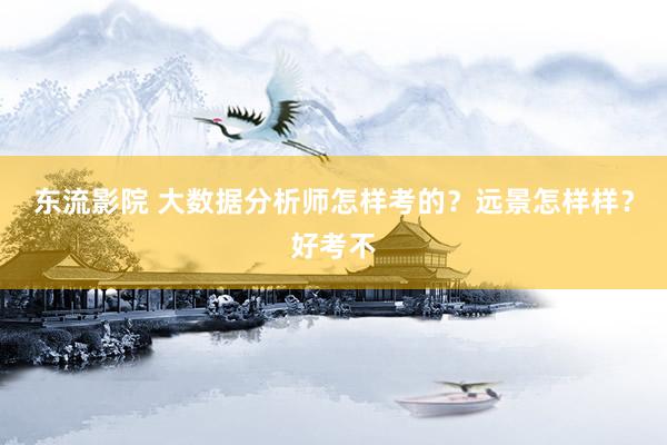 东流影院 大数据分析师怎样考的？远景怎样样？好考不