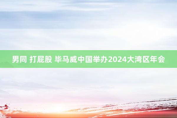 男同 打屁股 毕马威中国举办2024大湾区年会