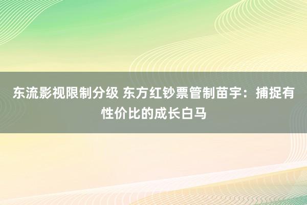 东流影视限制分级 东方红钞票管制苗宇：捕捉有性价比的成长白马