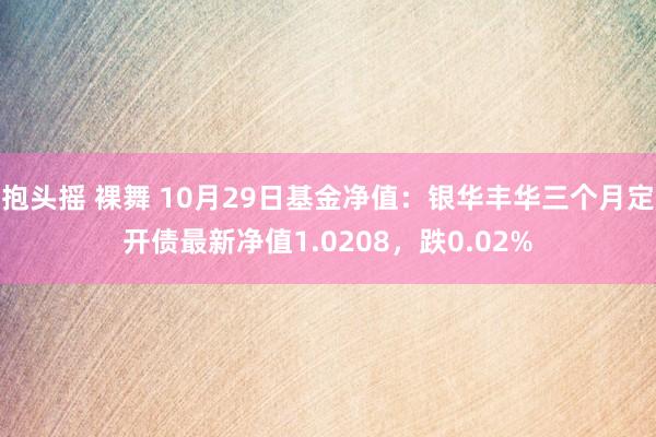 抱头摇 裸舞 10月29日基金净值：银华丰华三个月定开债最新净值1.0208，跌0.02%