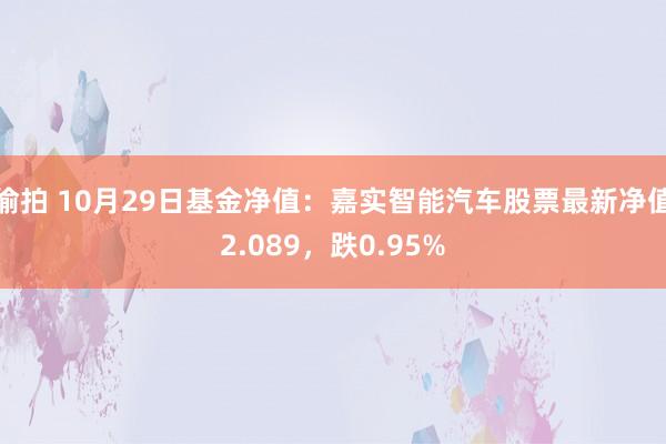 偷拍 10月29日基金净值：嘉实智能汽车股票最新净值2.089，跌0.95%