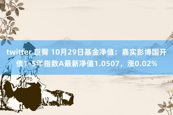 twitter 巨臀 10月29日基金净值：嘉实彭博国开债1-5年指数A最新净值1.0507，涨0.02%