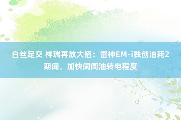 白丝足交 祥瑞再放大招：雷神EM-i独创油耗2期间，加快阛阓油转电程度