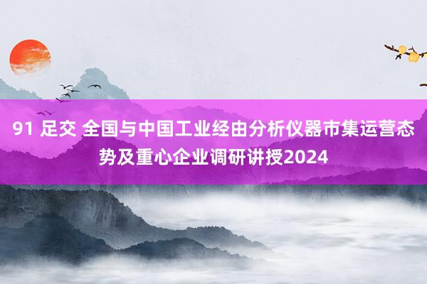 91 足交 全国与中国工业经由分析仪器市集运营态势及重心企业调研讲授2024