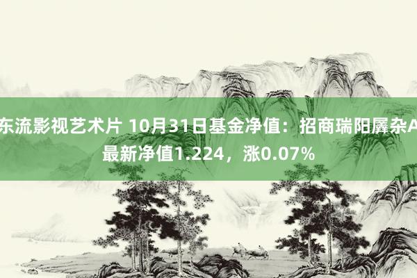 东流影视艺术片 10月31日基金净值：招商瑞阳羼杂A最新净值1.224，涨0.07%