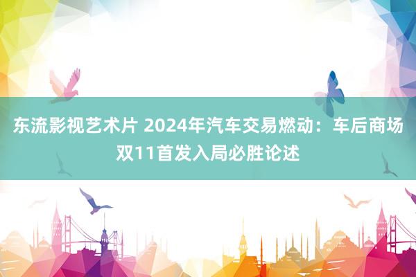 东流影视艺术片 2024年汽车交易燃动：车后商场双11首发入局必胜论述