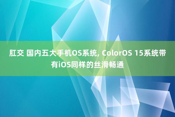 肛交 国内五大手机OS系统， ColorOS 15系统带有iOS同样的丝滑畅通