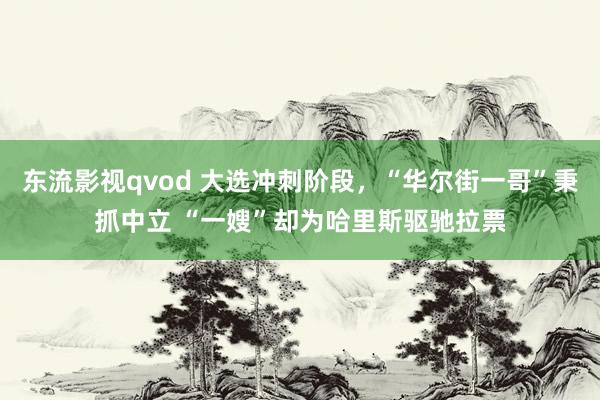 东流影视qvod 大选冲刺阶段，“华尔街一哥”秉抓中立 “一嫂”却为哈里斯驱驰拉票