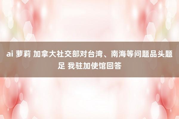 ai 萝莉 加拿大社交部对台湾、南海等问题品头题足 我驻加使馆回答