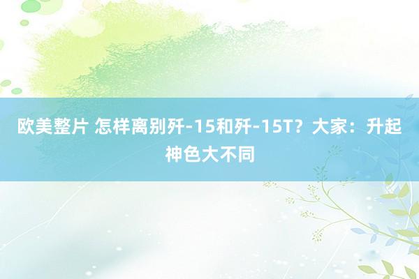 欧美整片 怎样离别歼-15和歼-15T？大家：升起神色大不同