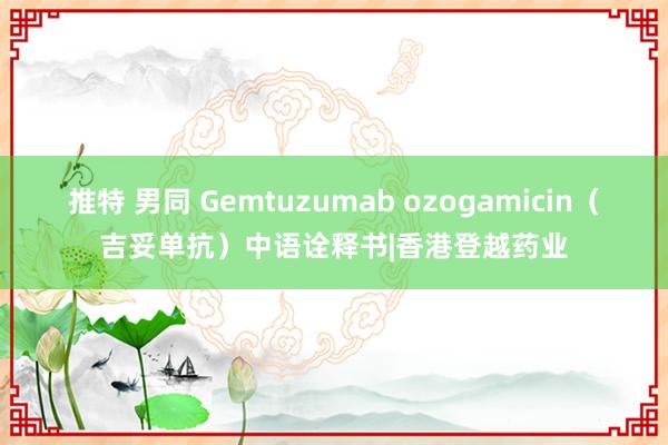 推特 男同 Gemtuzumab ozogamicin（吉妥单抗）中语诠释书|香港登越药业