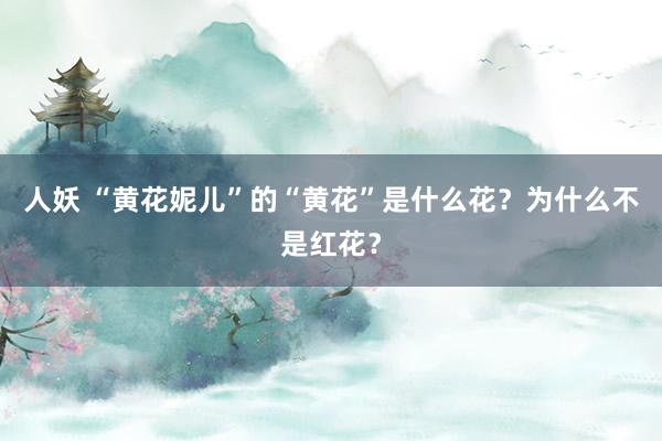 人妖 “黄花妮儿”的“黄花”是什么花？为什么不是红花？