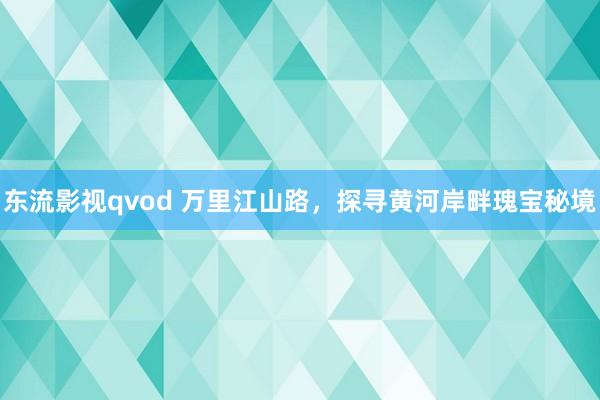 东流影视qvod 万里江山路，探寻黄河岸畔瑰宝秘境